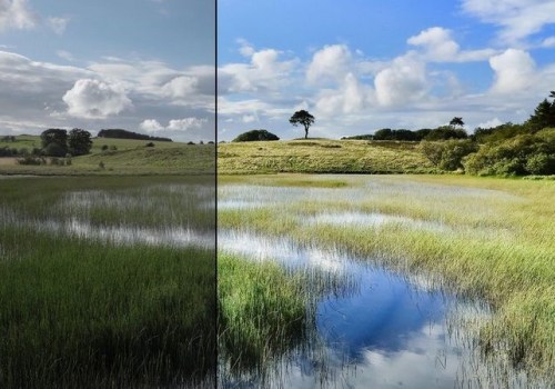 Understanding the Significance of PDF Editing in Today's Digital Landscape